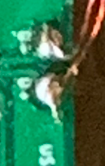 1618294613587.png