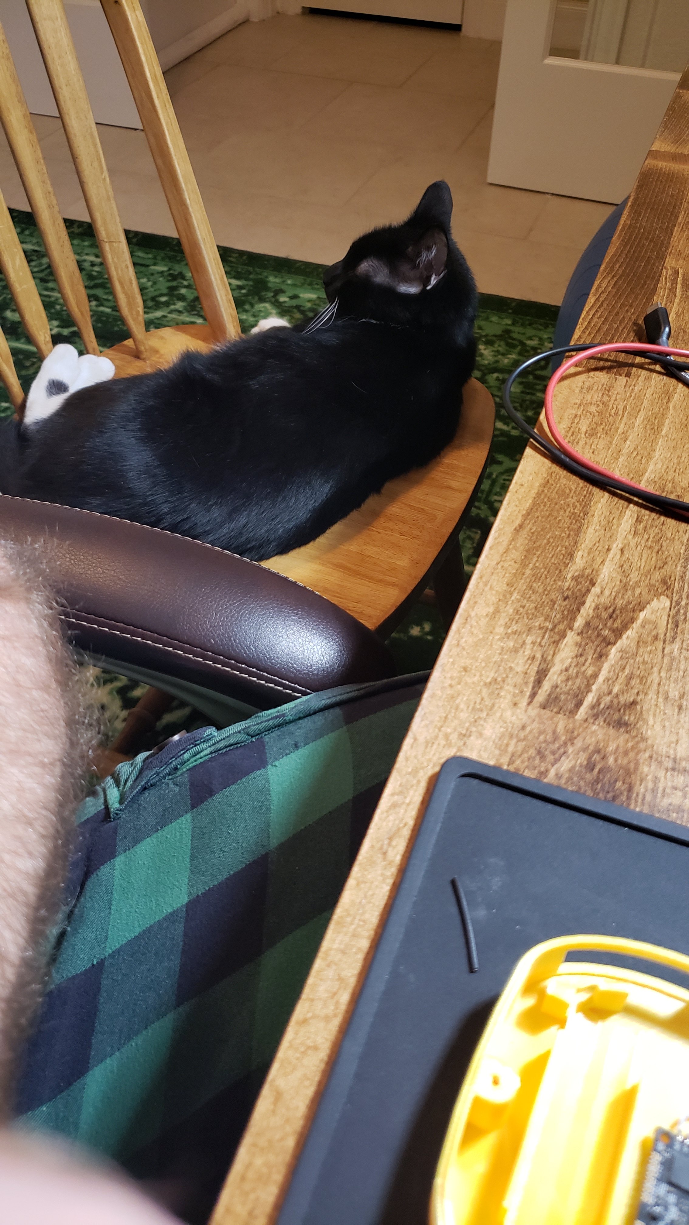 20210904_220721.jpg