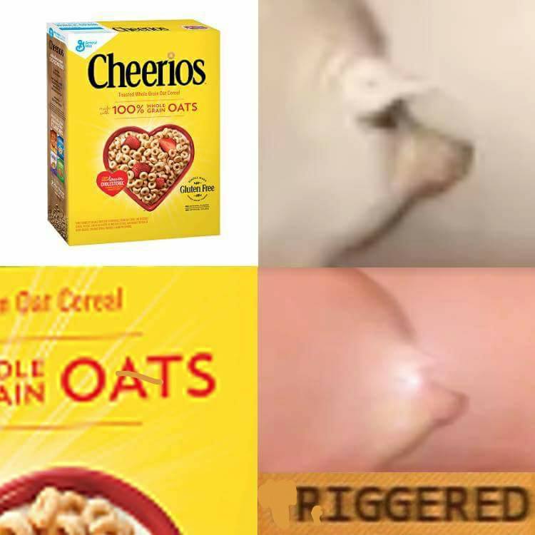 3c4.jpg