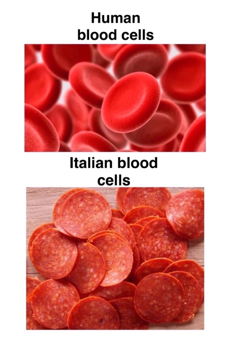 a46d9c2ce56b42cbb534ae04639dab4d.jpg