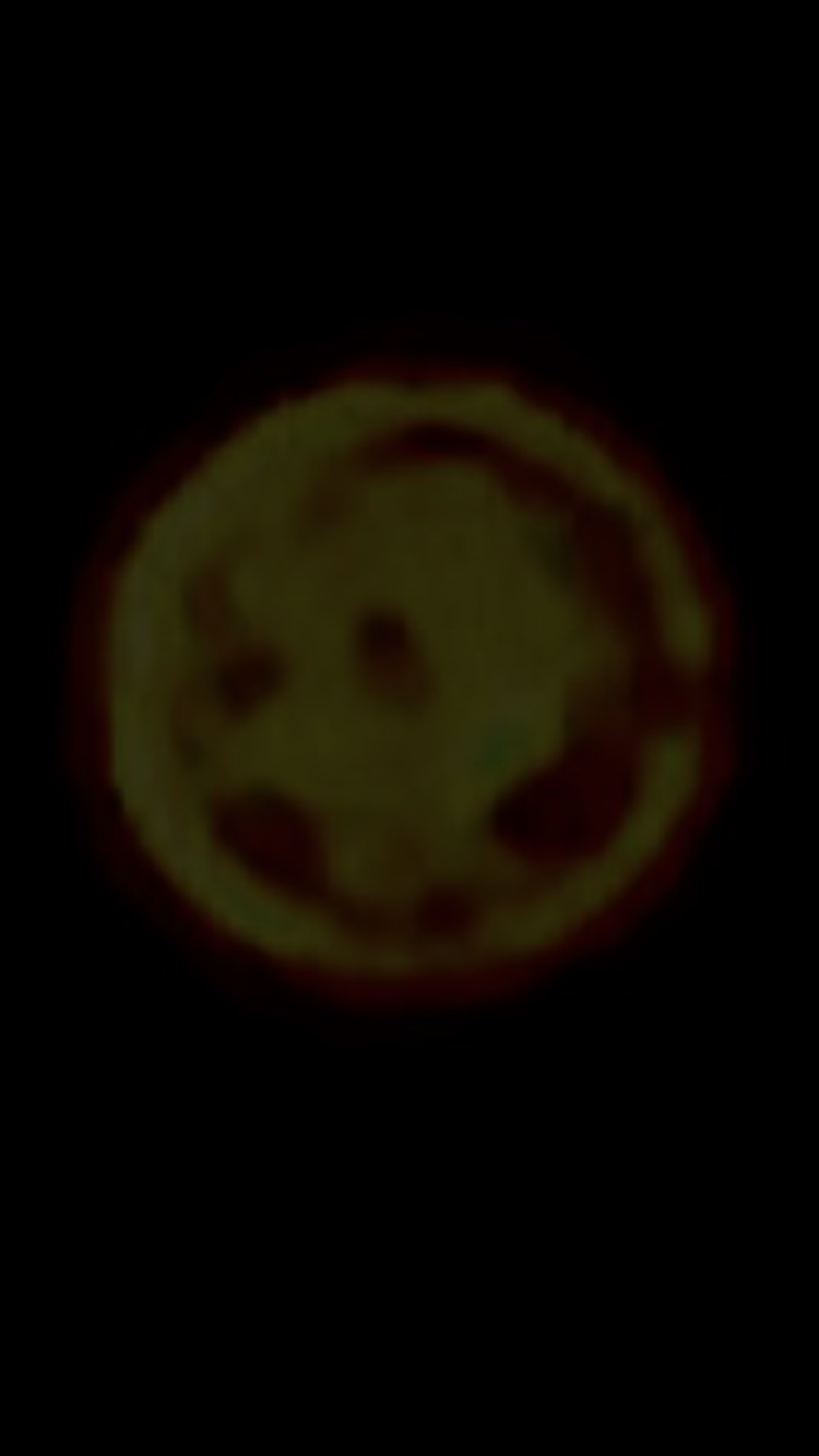 BCFBDC80-4181-4E97-893A-EA12A63C3FDC.png