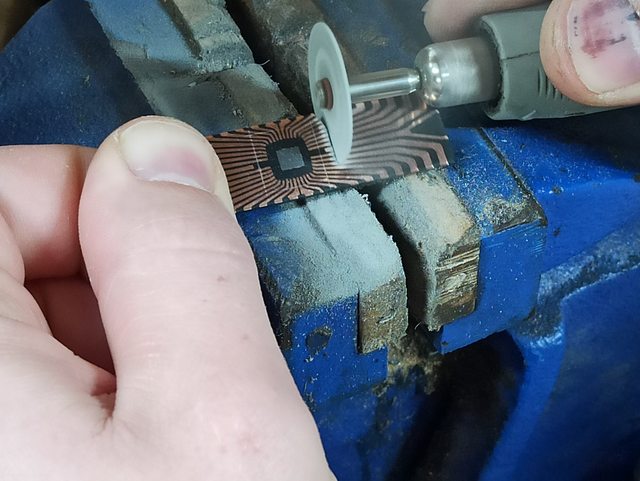 Cut End 1.jpg