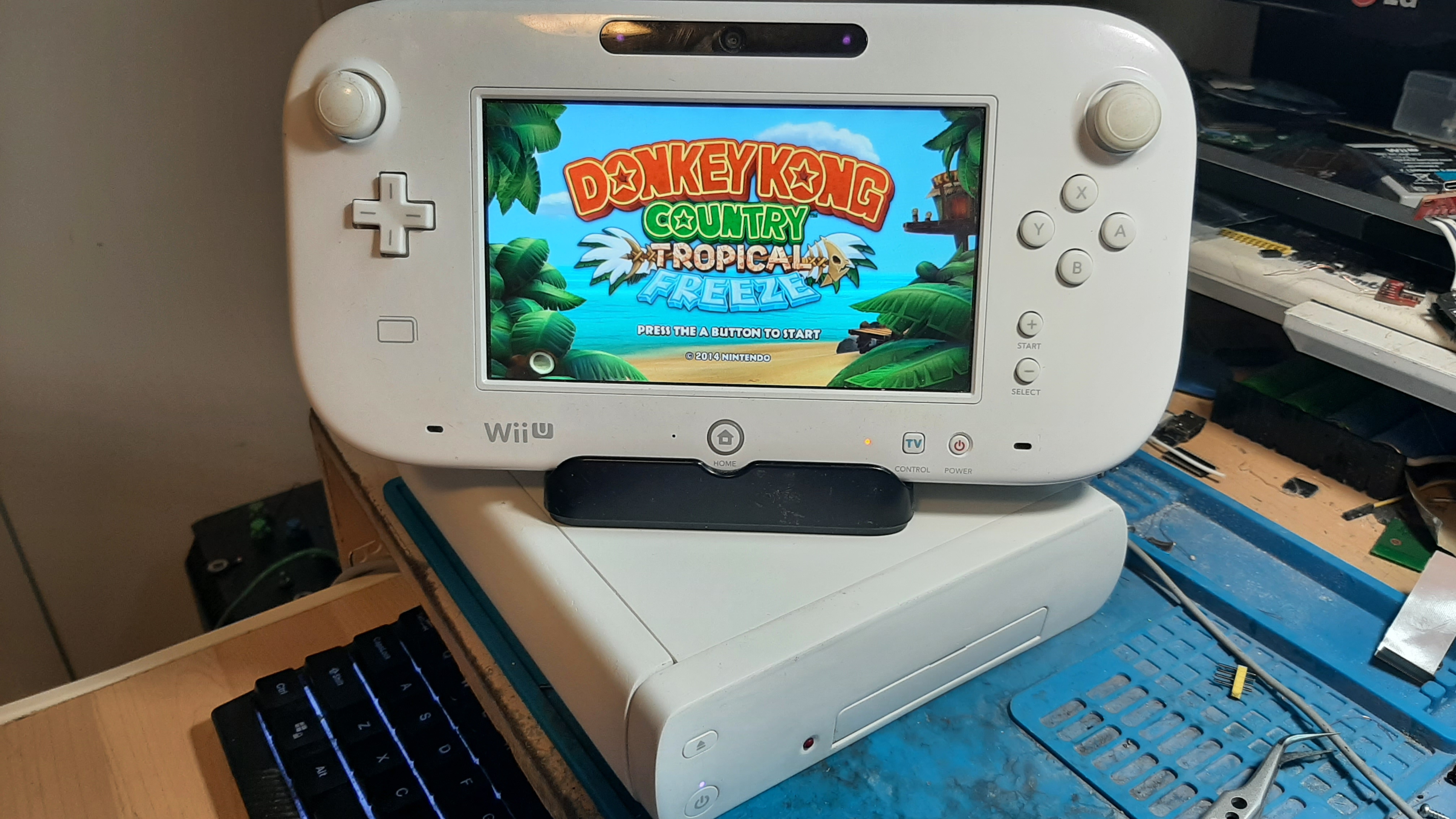 dk.jpg