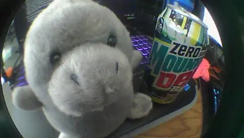 DSC00003.webp