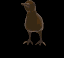 E3AB776A-103F-44A1-B4F1-51547EA1486F.gif