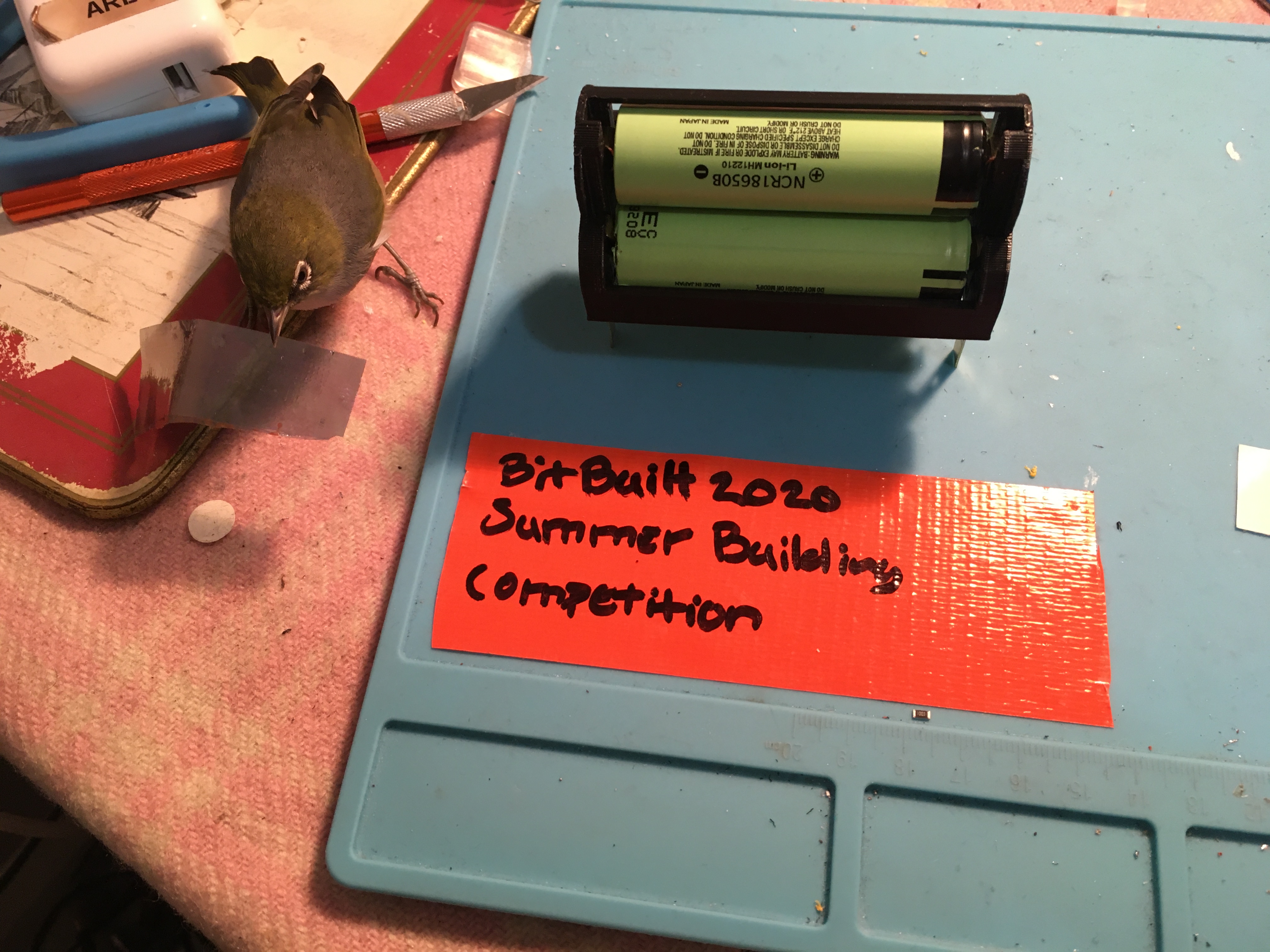 FinalBatteryHolderAndFluffy.jpg