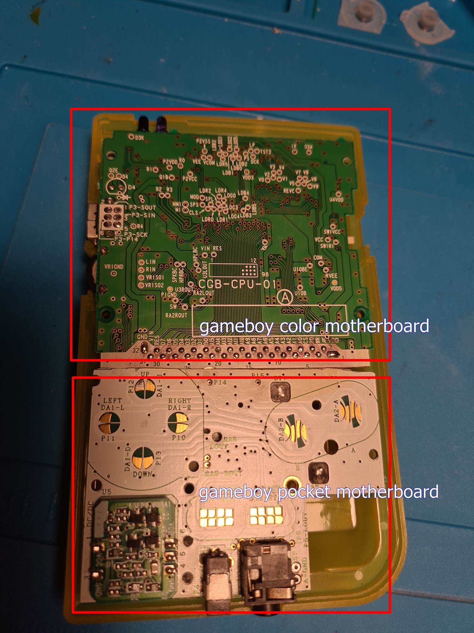 gbcp0301.jpg