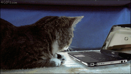 gifntext-gif.gif