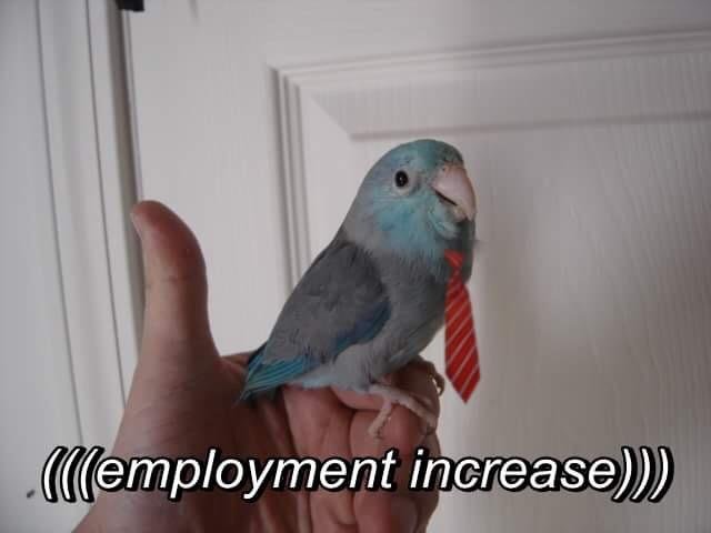 IauI7pj.jpg