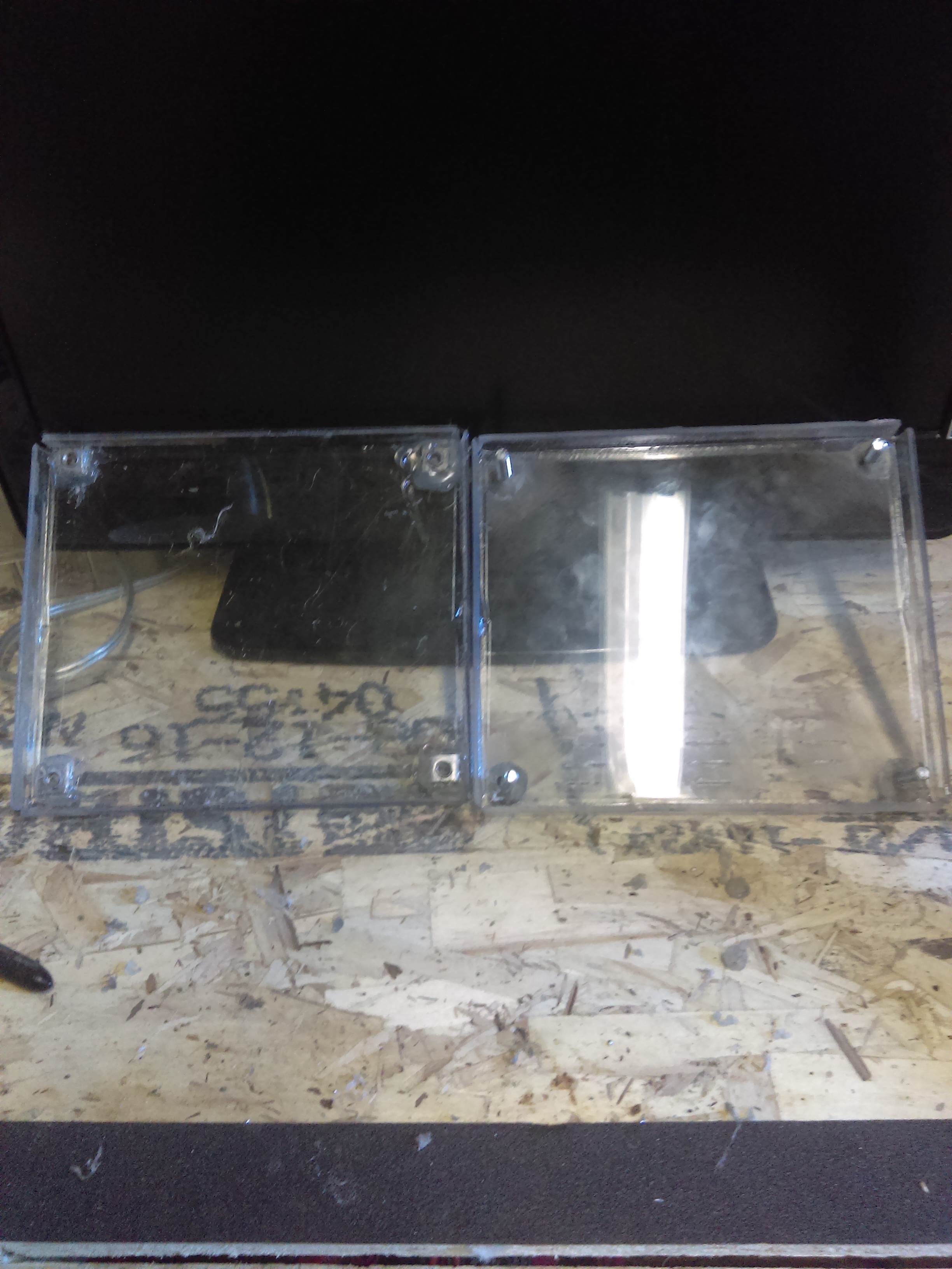 IMAG0343.jpg