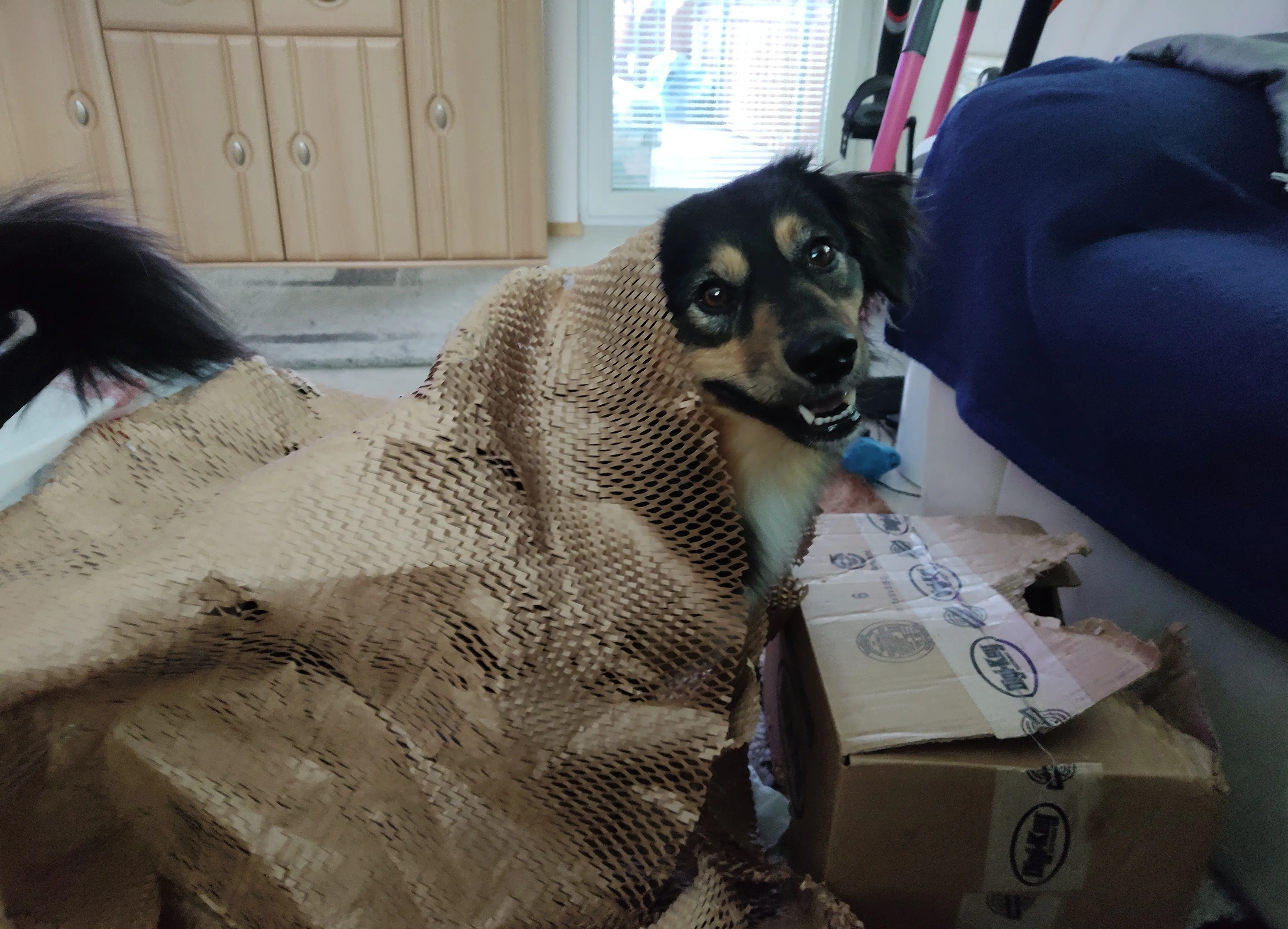 IMG_20220630_183512350.webp