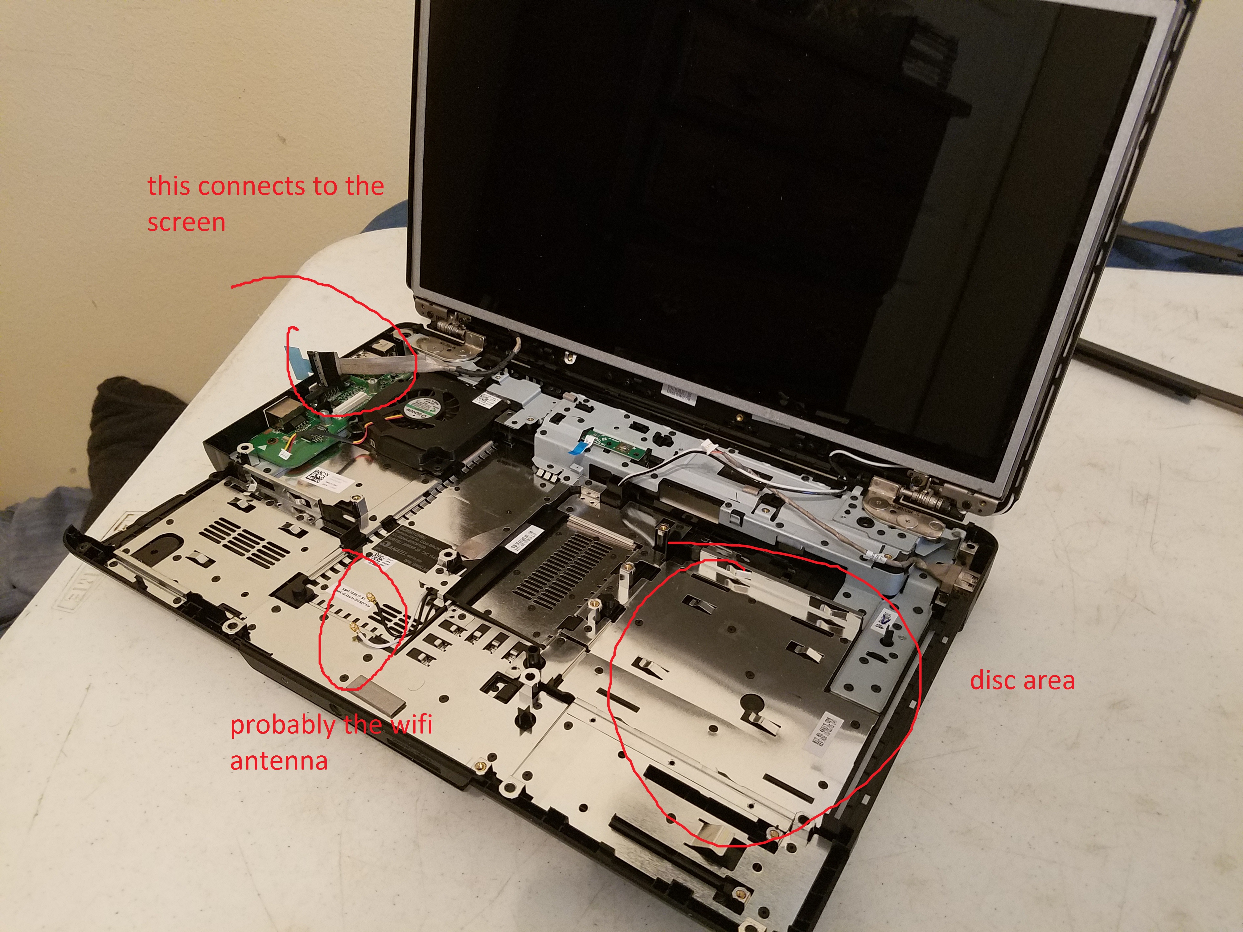 labeled image.jpg