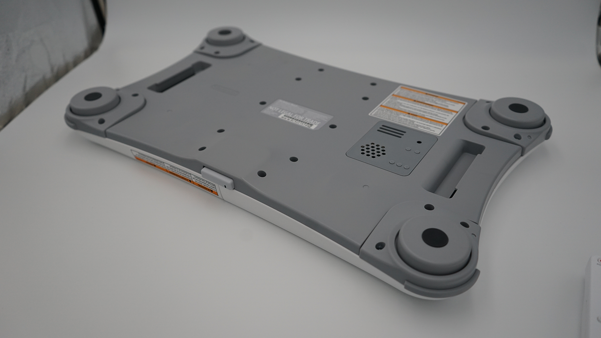 main back.png