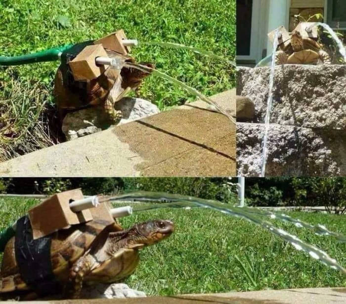 mLFePRx.jpg