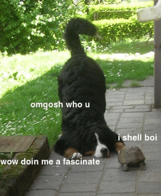 NIMVBXj.png