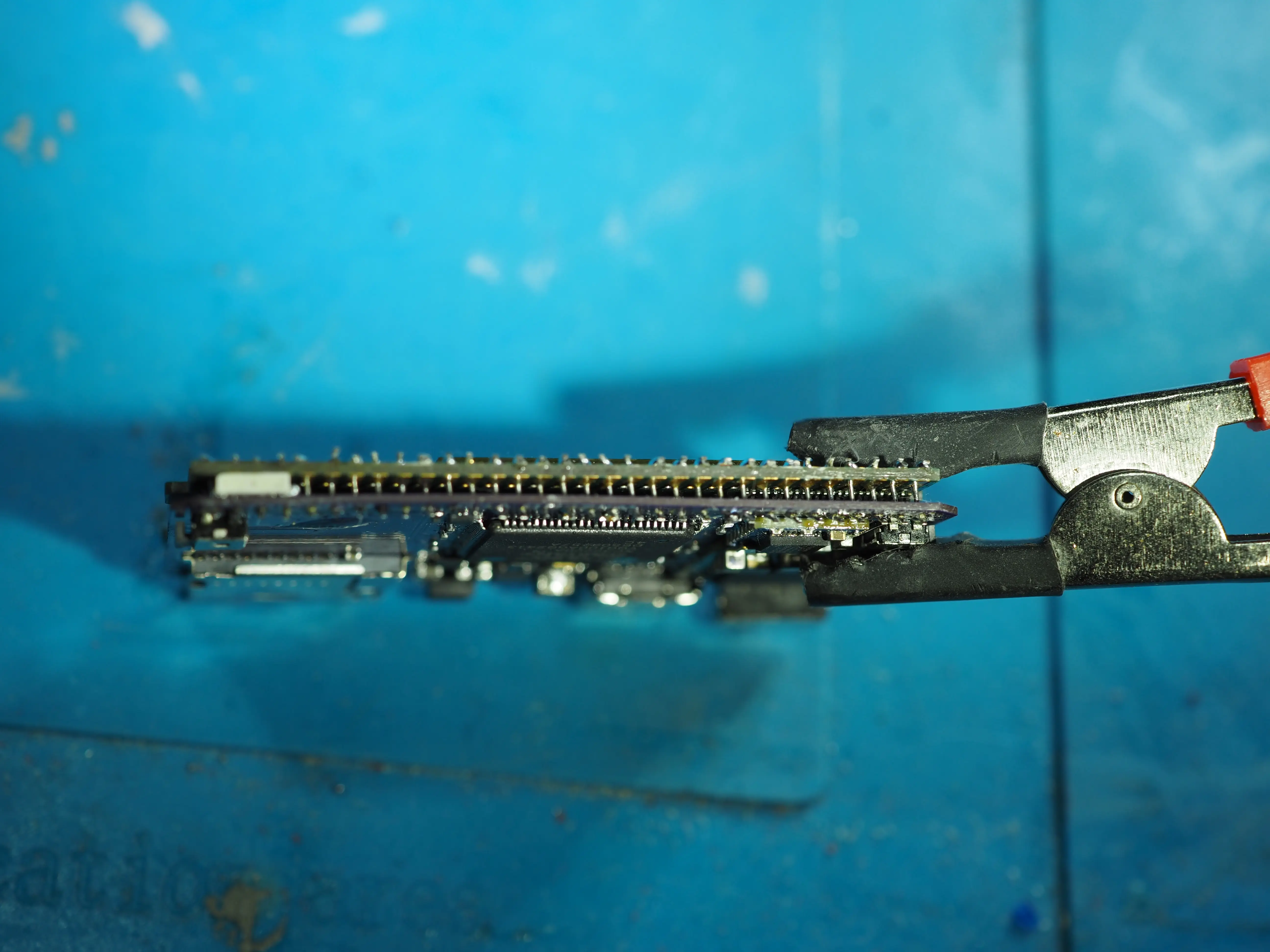 PA070163.webp