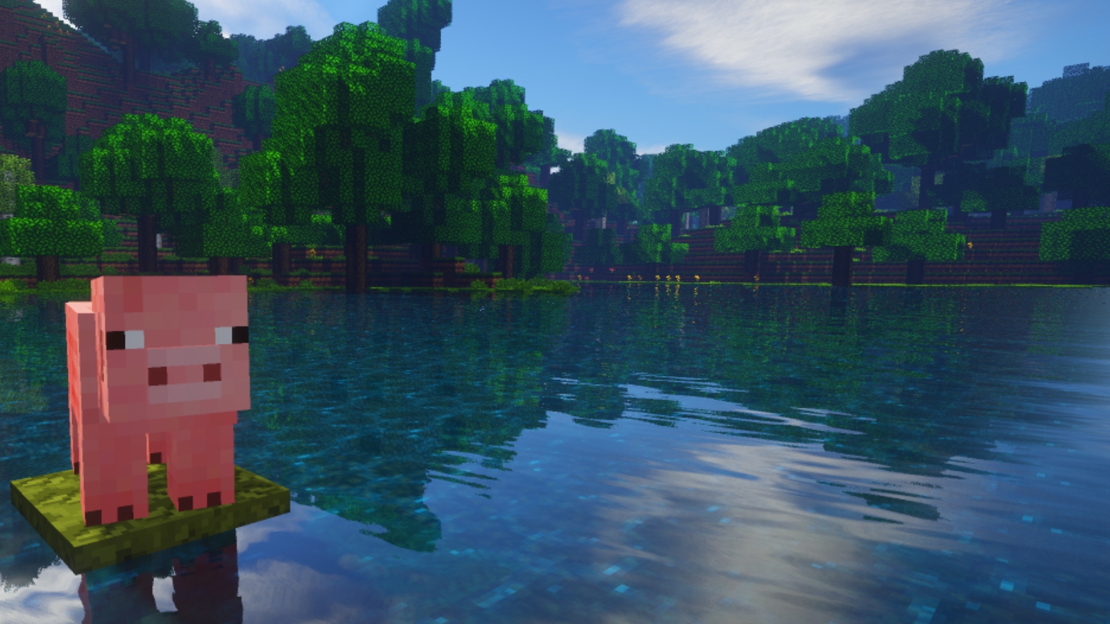 prettypig1.jpg