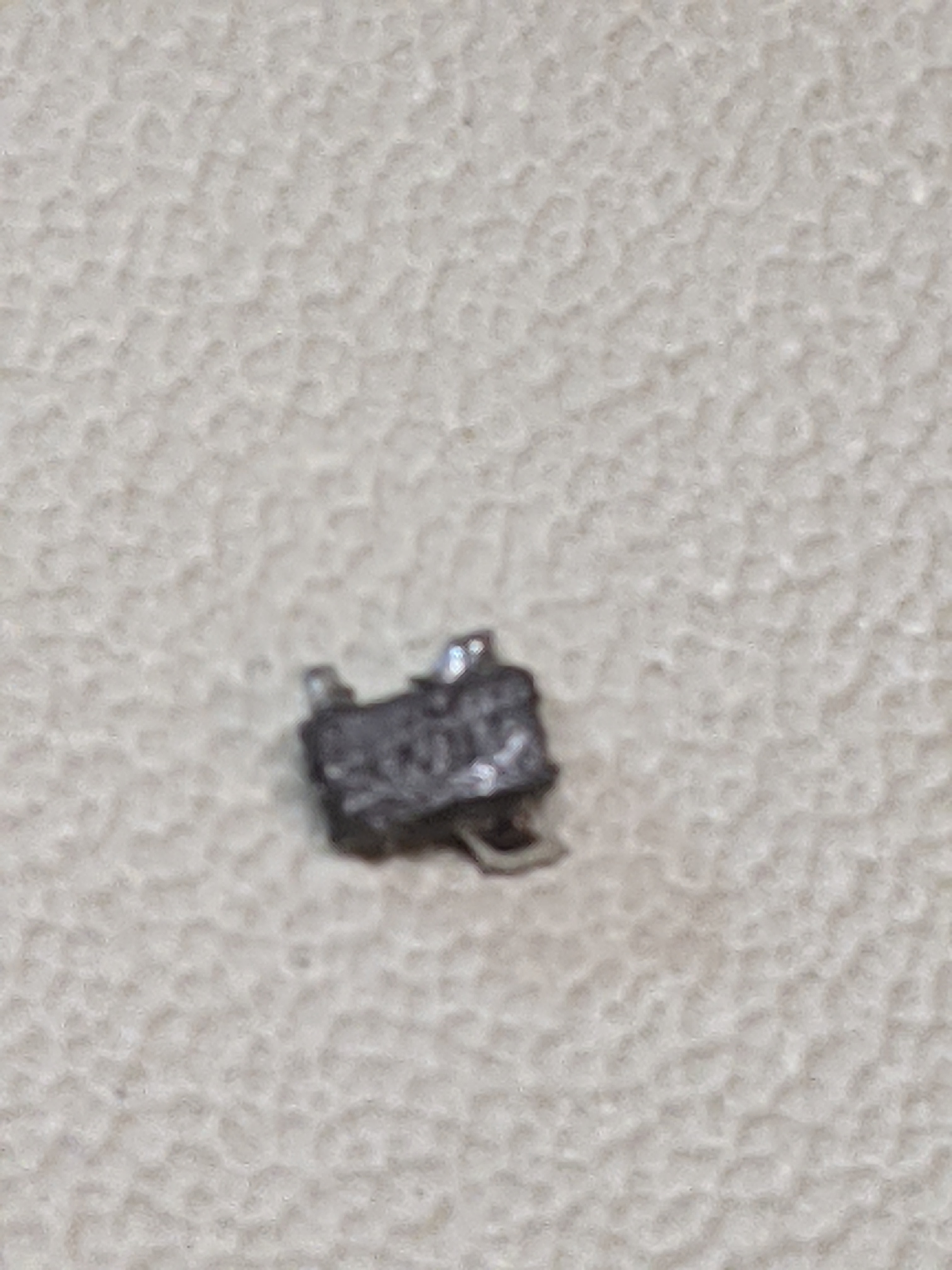 PXL_20230715_022126920.jpg
