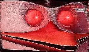 red eye penguin.jpg