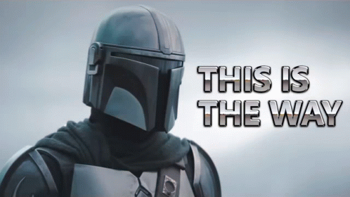 this is the way.gif