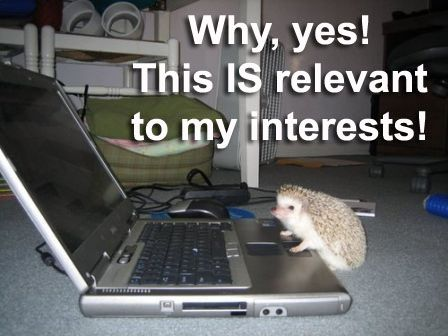 why yes this is relevant to my interests.png