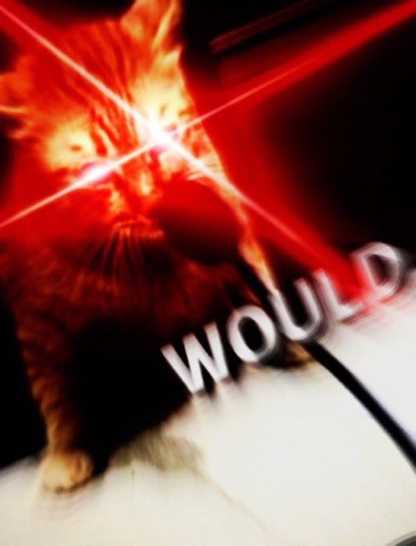 would.png