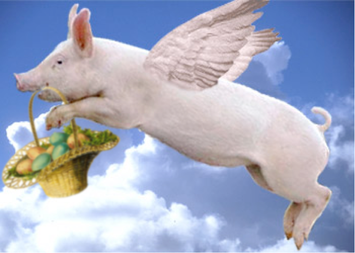 ziggypiggy.png