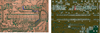 Untitled.png