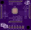 chip 1.png
