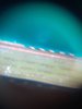 20230325_235806.jpg