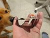 20231219_181154.jpg