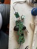 IMG_1280.jpeg