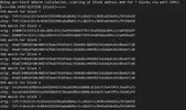 4.webp