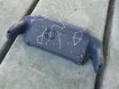 5.12.2026 Painted back shell with constellations.webp