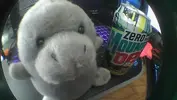 DSC00003.webp
