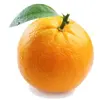 you know you want to, xiuvx.webp