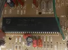 clover-jungle-chip.webp