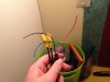 IMG-6720.JPG