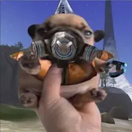 TheCATDocter