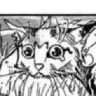 sukiko