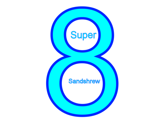 SuperSandshrew8
