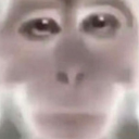 harry_bingus
