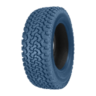 BlueTire