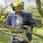 pctreeremovalau