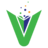webvidya