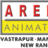 arenaanimation