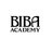 bibaacademy
