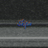 Skipa