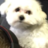 fluffyhuh